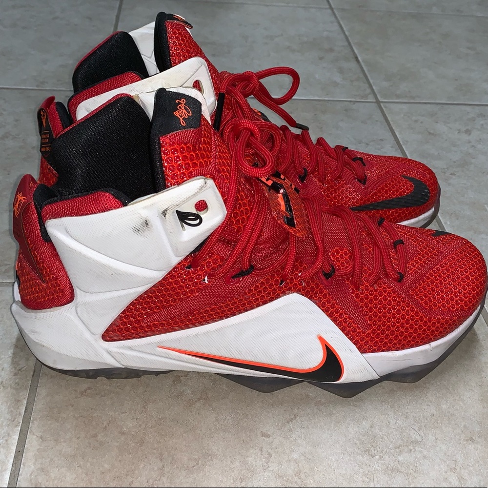 Nike Lebron 12 "Heart Of A Lion" Size 10 View 3
